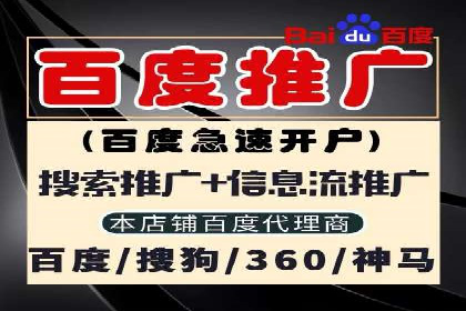 某电商平台的SEM代运营策略解析
